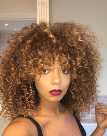 kinky curly wigs for black women