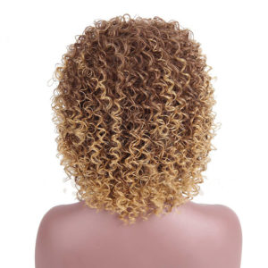 Afro Kinky Curly Wig for Black Women Synthetic Blonde Mixed Brown Wigs