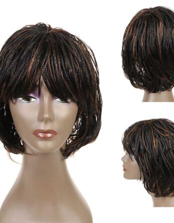 Mix Color Braided Wigs with bangs